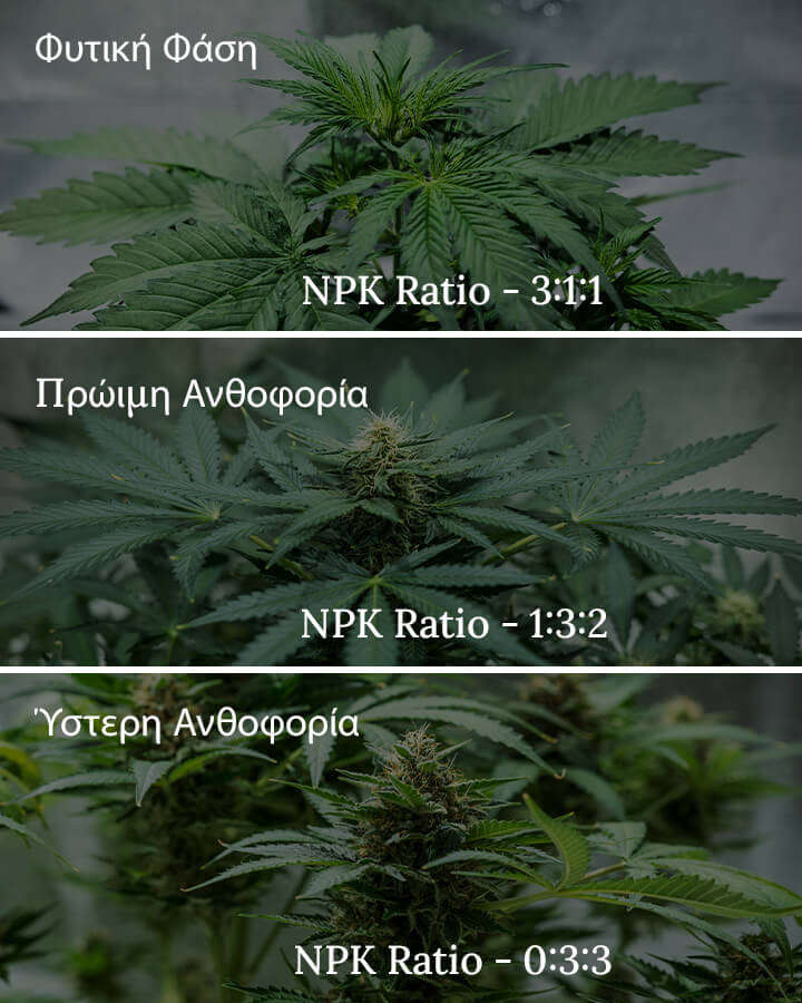 NPK ratio in cannabis