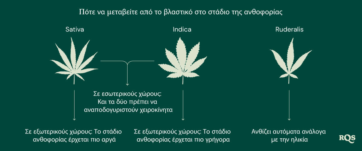 Switch ve to flowering