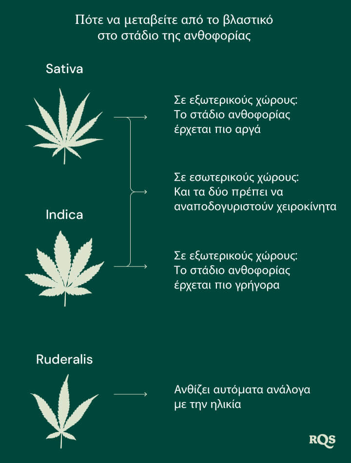 Switch ve to flowering